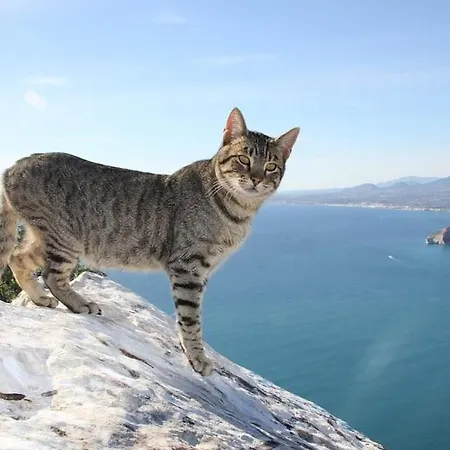 Coral - Plusholidays Lägenhet *