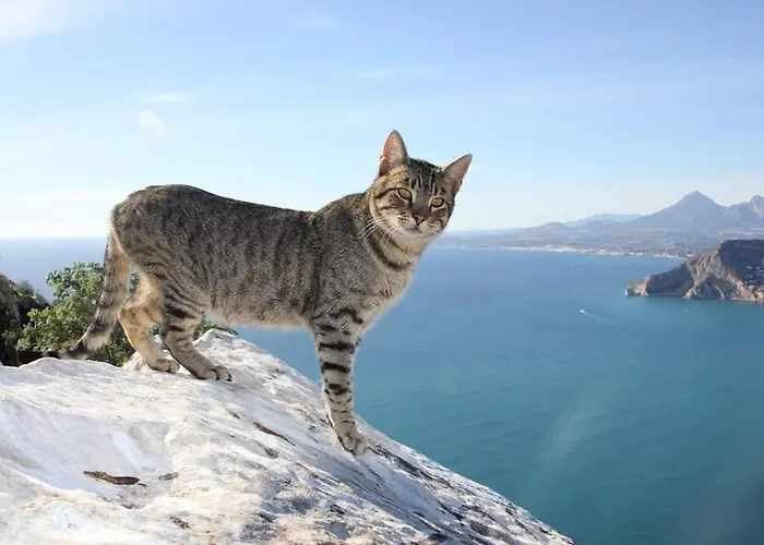 Coral - Plusholidays 公寓 *